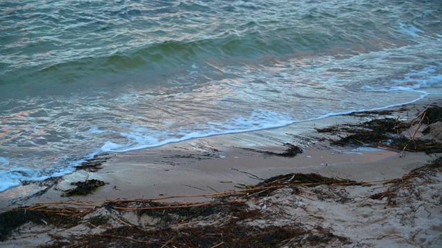 一个天然海滩上的海浪的特写，从沙子和波罗的海被冲上来的海藻，4k剪辑与复制空间视频下载