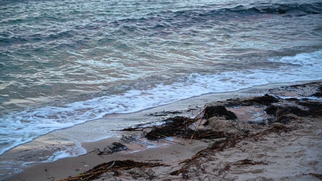 平静的海浪与一些泡沫是打破海滩上的沙子和冲上来的藻类，4k剪辑与复制空间视频下载