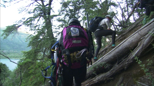 徒步旅行者在森林里爬一座陡峭的小山。视频素材