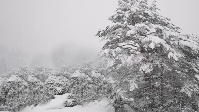 冬天白川吾村飘着雪花视频下载