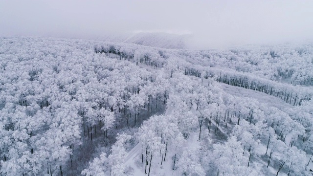 冬天的鸟瞰图。无人机飞越白雪皑皑的山脉，在冬季的大雾天气中景观。视频素材