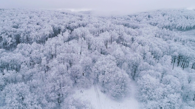 冬天的鸟瞰图。无人机飞越白雪皑皑的山脉，在冬季的大雾天气中景观。视频素材