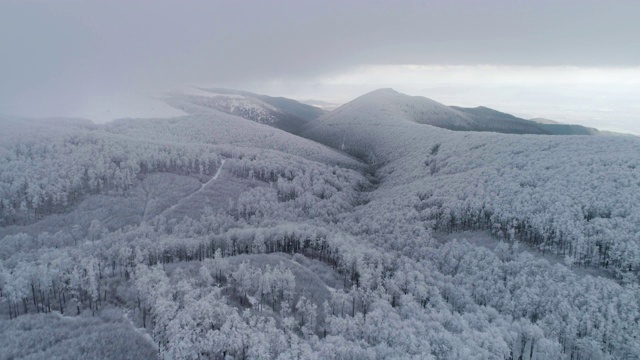 冬天的鸟瞰图。无人机飞越白雪皑皑的山脉，在冬季的大雾天气中景观。视频素材