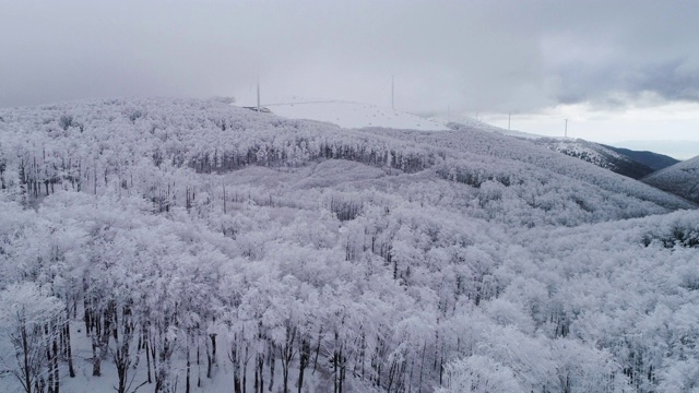 冬天的鸟瞰图。无人机飞越白雪皑皑的山脉，在冬季的大雾天气中景观。视频素材