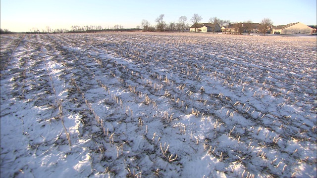 在密苏里州，家庭和农场围绕着白雪覆盖的麦田。视频素材