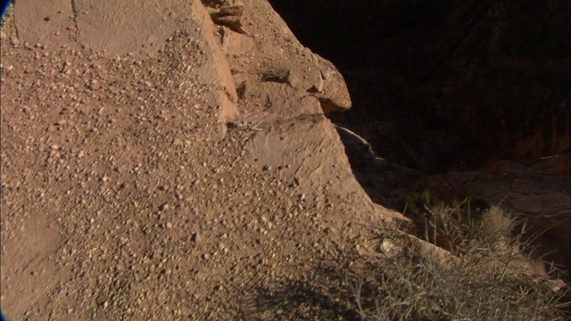 小科罗拉多河峡谷在陡峭的岩石峭壁下流淌。视频素材