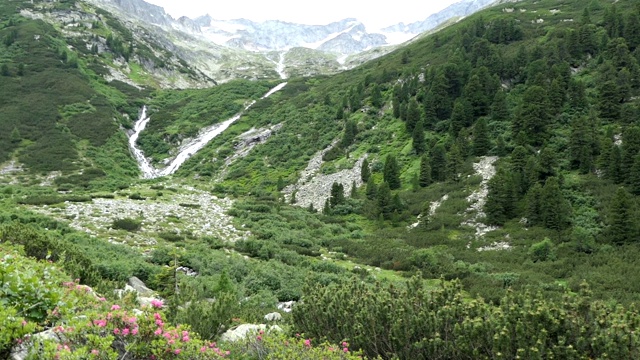 奥地利泰罗尔的施莱盖斯山谷的高山景观。山涧流动。视频素材