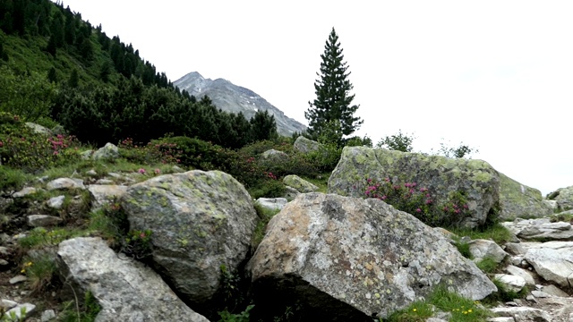 奥地利泰罗尔的施莱盖斯山谷的高山景观。山涧流动。视频素材