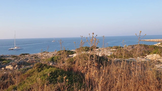 从格列科角眺望大海和双体船的全景，透过植物和荆棘的景色视频素材