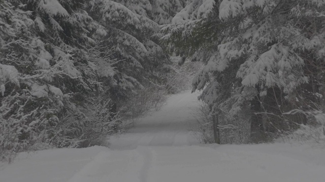 雪路森林广角拍摄冬季4K库存视频视频素材