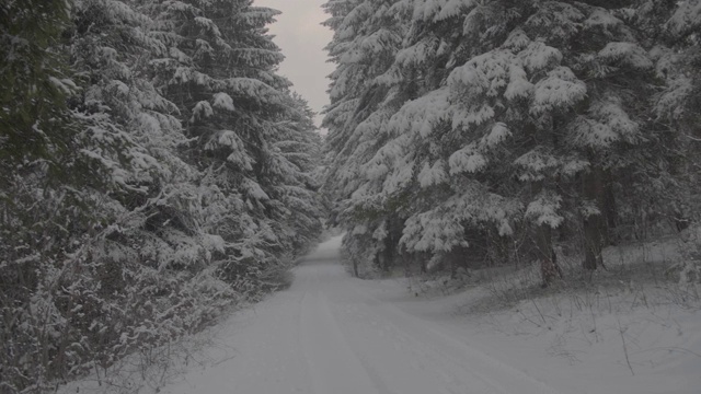 雪路森林广角拍摄冬季4K库存视频视频素材