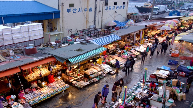 Jagalchi鱼市/正中谷，釜山，韩国视频素材