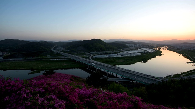 在瓦龙山的皇家杜鹃花和在锦湖河上的锦湖大桥上的日出/达城郡，韩国大丘视频素材