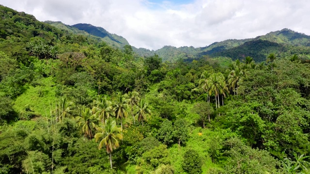 美丽的山景，山峰上覆盖着森林视频素材