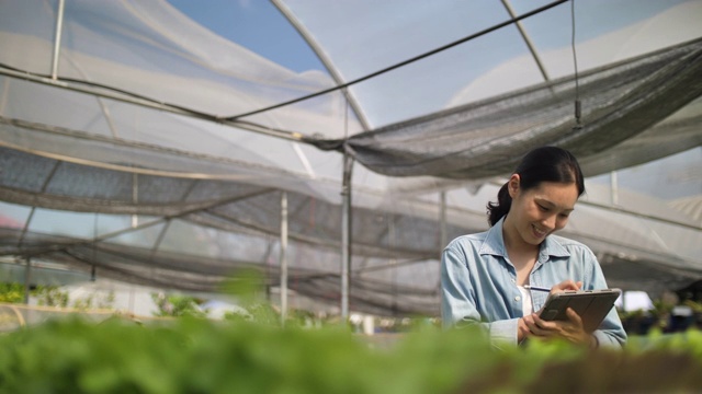 水力农场主人检查她的有机水培蔬菜种植农场视频素材