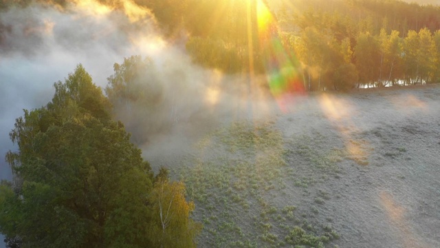 风景优美的春天草地视频素材