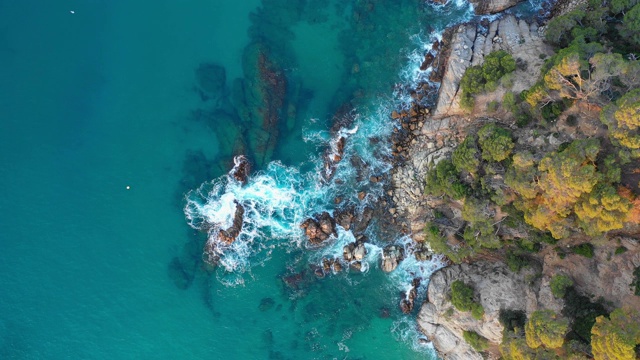 夏季海岸线鸟瞰图视频下载