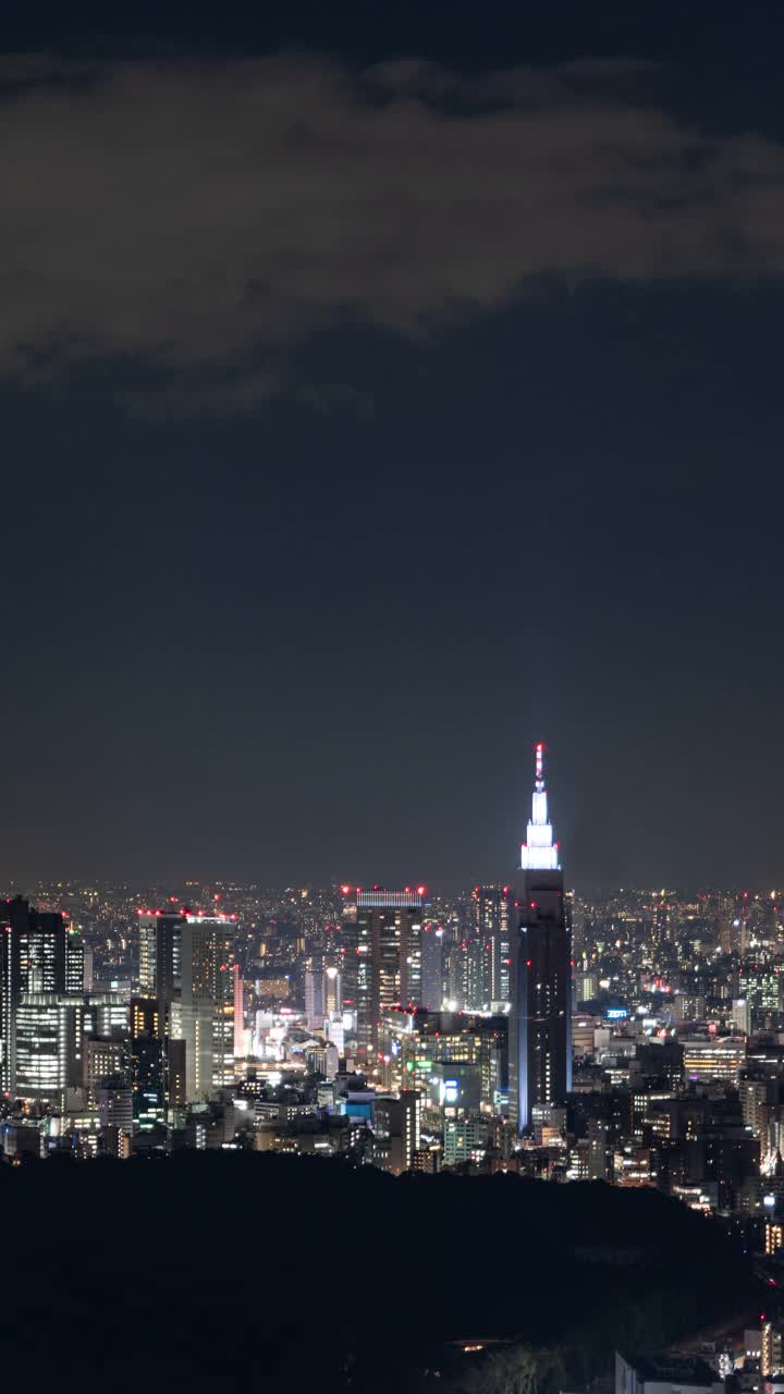 新宿摩天大楼之夜(垂直/平移/延时)视频素材