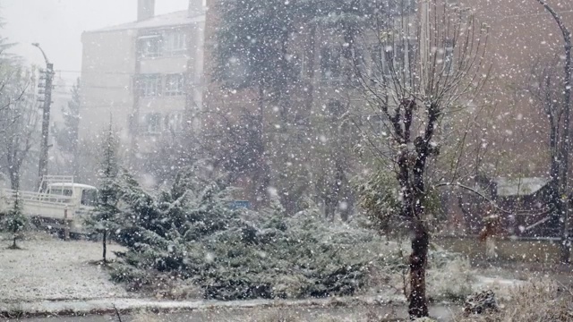 透过窗户看到白天的大雪视频素材