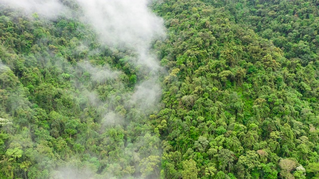 菲律宾吕宋岛的科迪勒拉山脉鸟瞰图。山脉和热带雨林视频素材