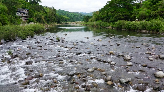 这条河在丛林中流淌。景观与山区河流视频素材