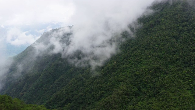 清晨，雾气笼罩的山顶上的雨林。菲律宾吕宋岛的科迪勒拉山脉鸟瞰图视频素材