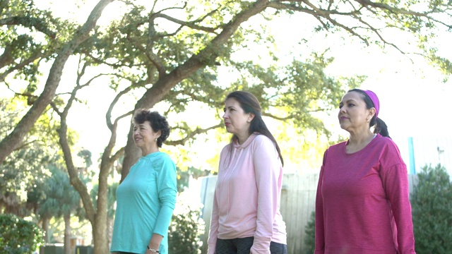 西班牙妇女在公园里练太极视频素材