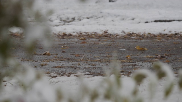 汽车在下雪时经过潮湿的道路视频素材