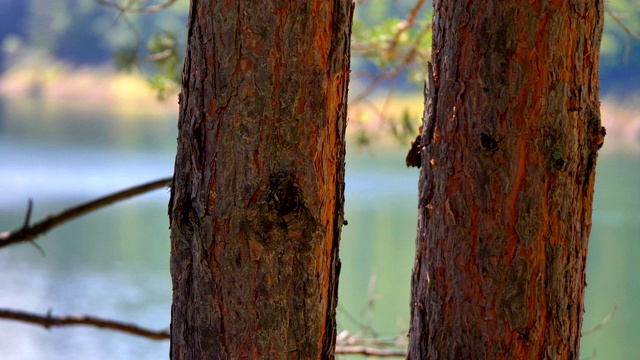 美丽的贝洛沃湖在山全景4k视频素材