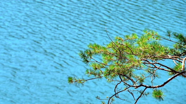 美丽的贝洛沃湖在山全景4k视频素材