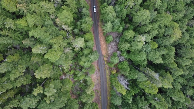 从上往下拍摄的汽车行驶在偏远的森林道路视频素材