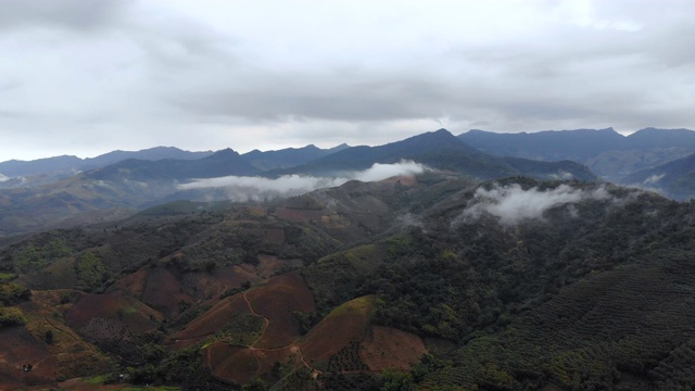 鸟瞰图无人机拍摄的风景优美的热带自然林木林背山视频素材