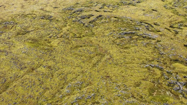 飞越冰岛的Eldhraun熔岩场，空中4k高角度无人机拍摄视频素材