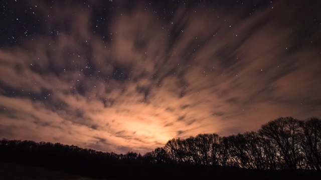 森林上空的星星视频下载