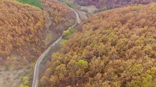 秋天的景观与黄色的树冠和交通道路在秋天的一天。空中无人机视频视频素材