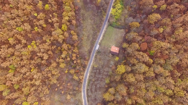 秋天的景观与黄色的树冠和交通道路在秋天的一天。空中无人机视频视频素材