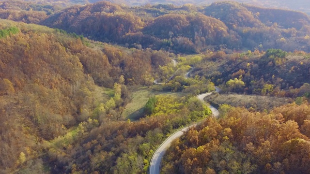 秋天的景观与黄色的树冠和交通道路在秋天的一天。空中无人机视频视频素材