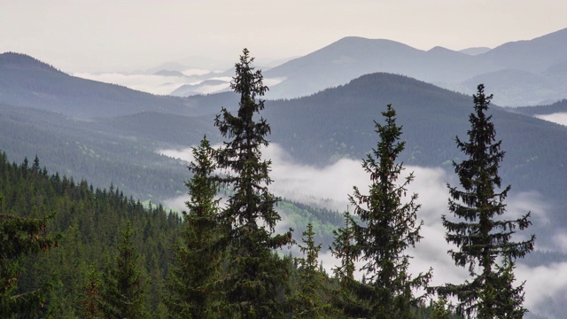 云下山峦与松林岭景观时光流逝。高山地区阴天视频素材