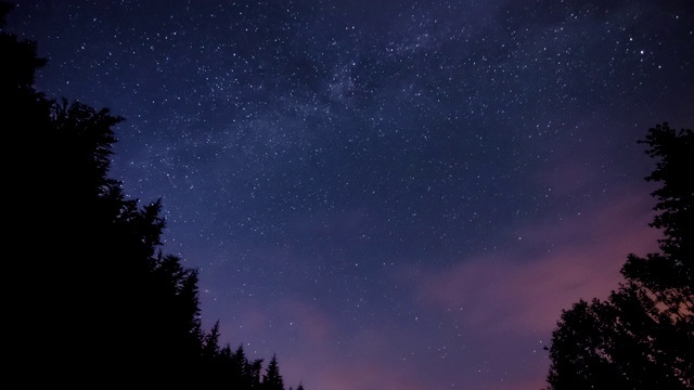 森林里的夜空和云彩视频素材