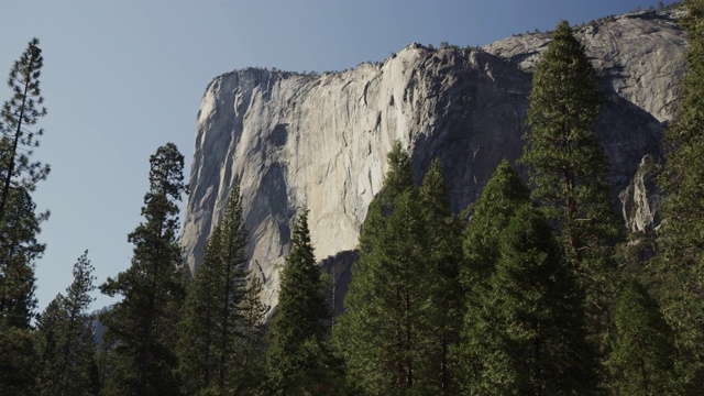 摇摄的风景树和埃尔卡皮坦/约塞米蒂山谷，加州，美国视频素材