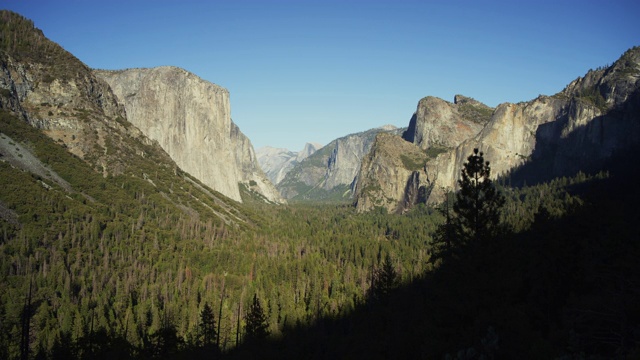 摇摄的风景树和埃尔卡皮坦/约塞米蒂山谷，加州，美国视频素材