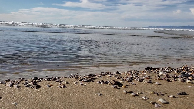 海浪掠过卵石视频素材