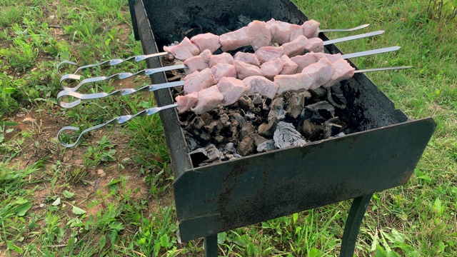 在花园、后院的烧烤架上准备烤肉串，烟和热量在那里视频素材