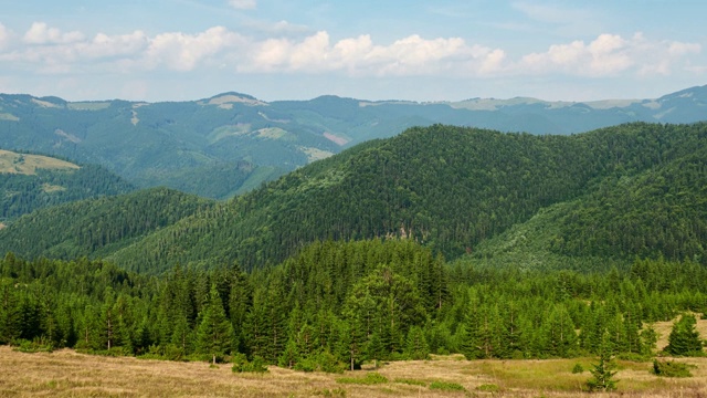 喀尔巴阡山夏日明媚的时光，喀尔巴阡山的全景，蓝天，树木和青山，美丽的景色视频素材