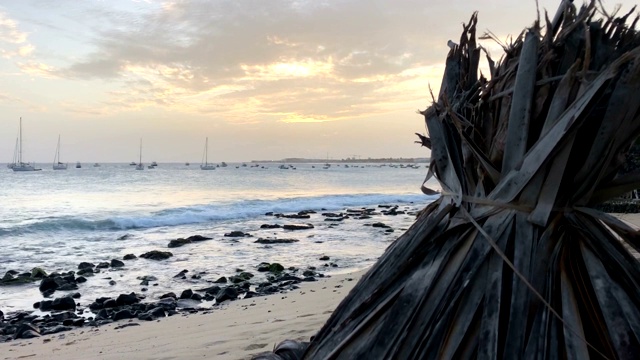 热带海域海岸线上的船只视频素材