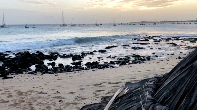 热带海域海岸线上的船只视频素材