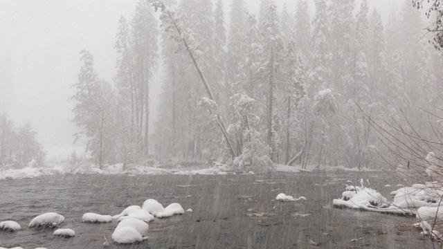 树木和河流上都下了大雪视频素材