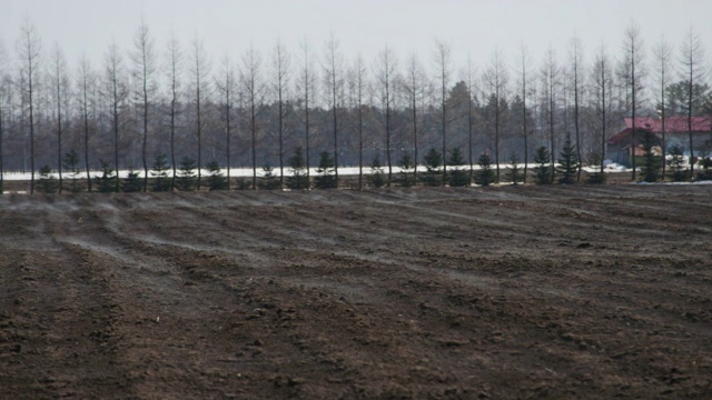 来自日本北海道的地面雾视频素材