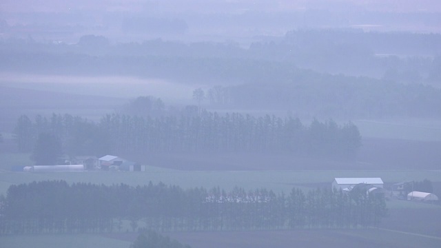 日本北海道十胜平原的大雾清晨视频素材