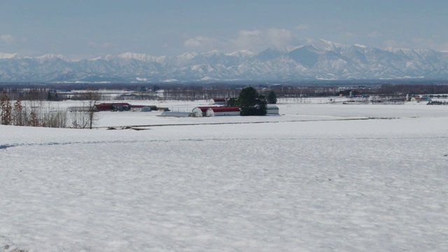 白雪覆盖的麦田，北海道，日本视频素材